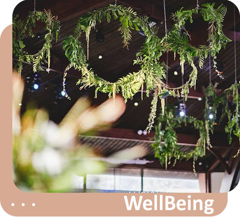 Wellbeing